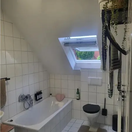 아파트 Einfamilienhaus Mit Zwei Separaten Zimmern In Spelle, Niedersachsen De Spelle