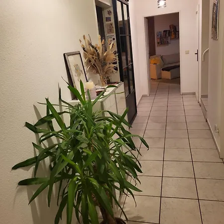 Apartment Einfamilienhaus Mit Zwei Separaten Zimmern In Spelle, Niedersachsen De